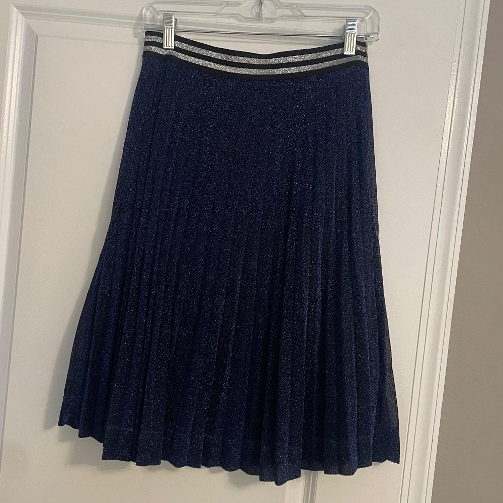 Blue Sparkle Pleated Skirt